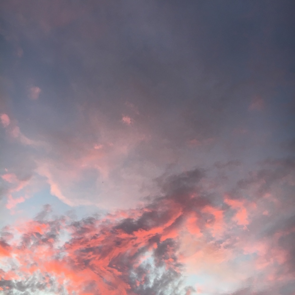 Meet your Posher, Ann